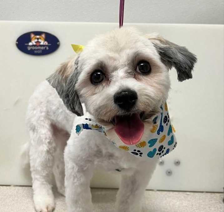 Photo of Camila (Cami)