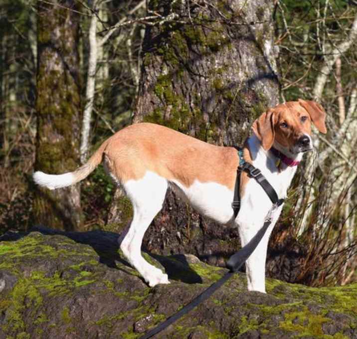 Photo of Moonshine (New Digs)