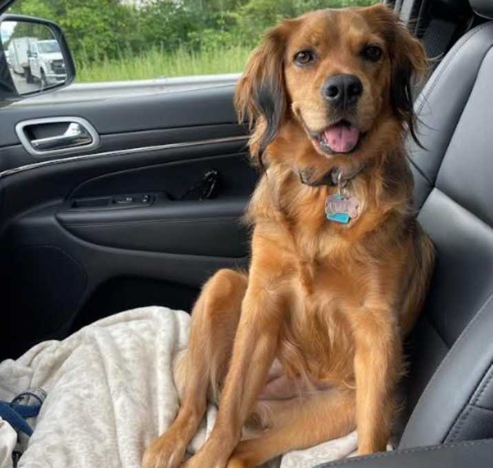 Photo of Penny in RI