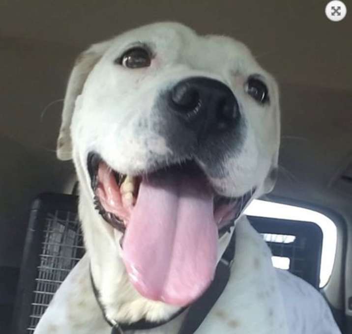 Photo of Willamena **Home for the Holidays 1/2 price!