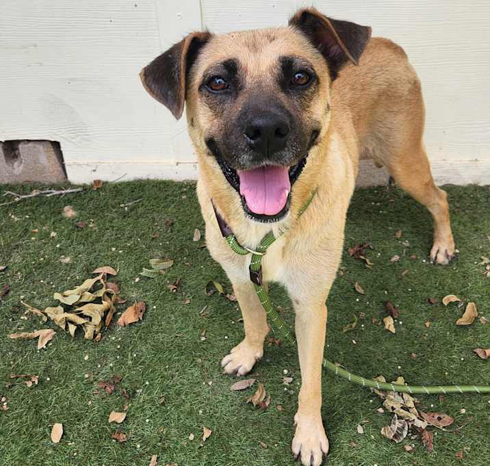 Photo of Frances JuM