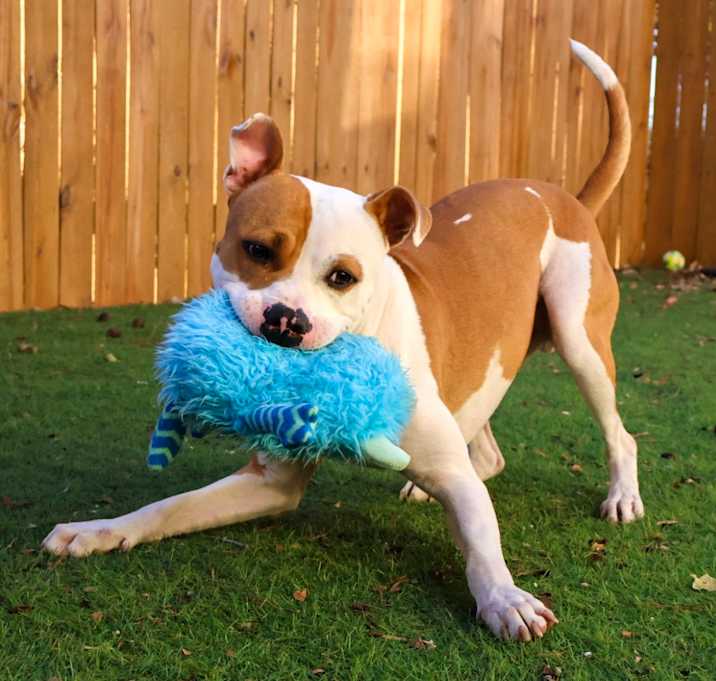 Photo of Stan The Man JuM