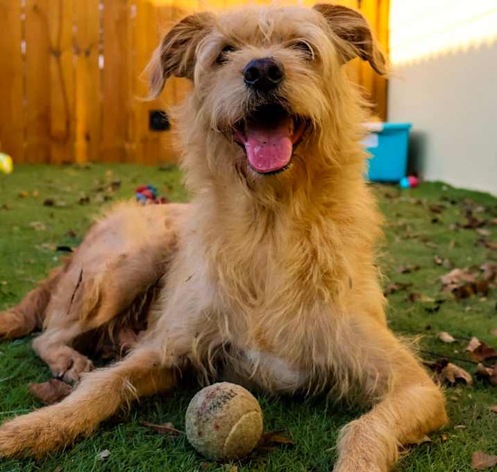 Photo of Gilbert AKA Coco JuM