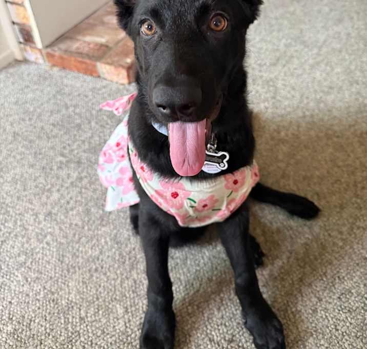 Photo of Marci / Marceline