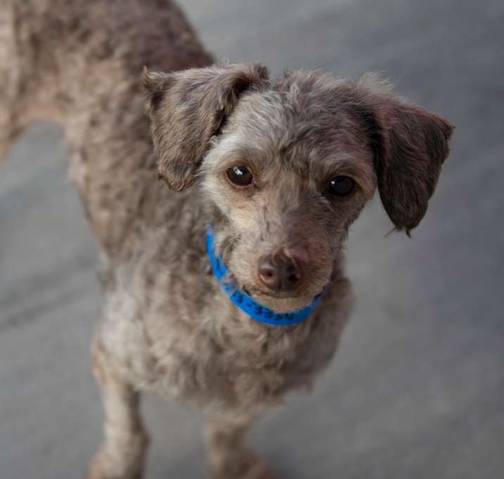 Photo of Thomas (OT25-139)