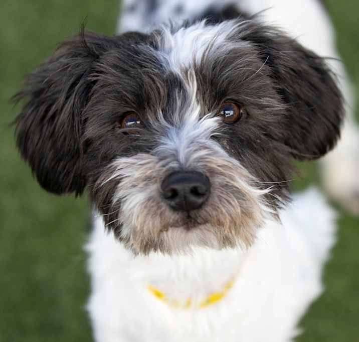 Photo of Mama Ritz (JN25-475)