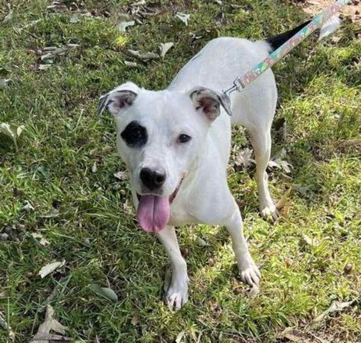 Photo of Mr Belvedere ( Mr. B)