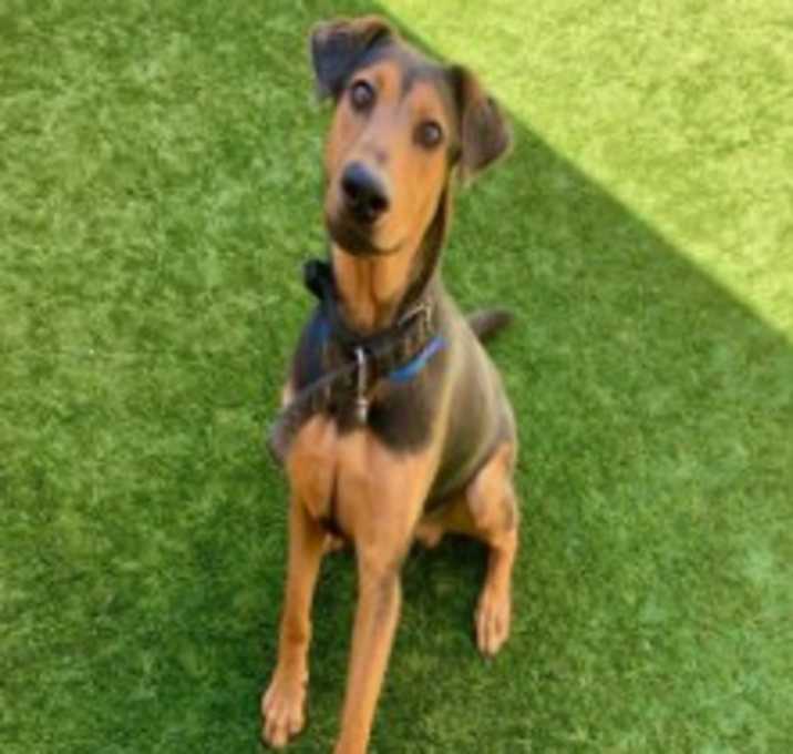 Photo of URGENT! Save Me Please