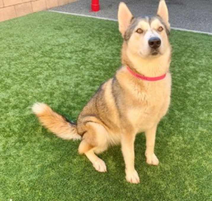 Photo of URGENT! Save Me Please