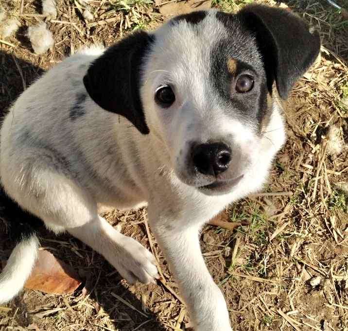 Photo of Spike 1 meet me 12/13