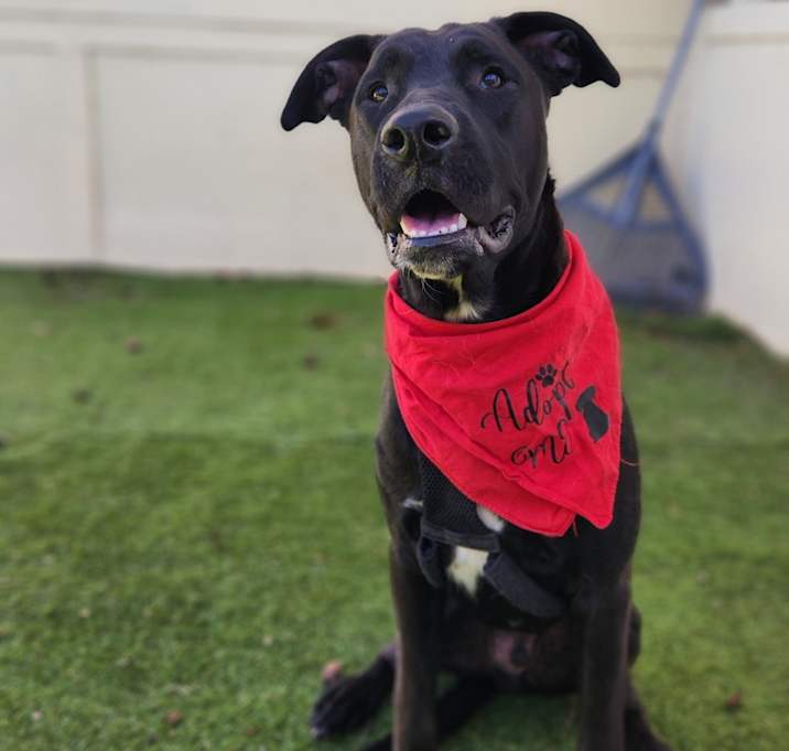 Photo of Benjamin LK