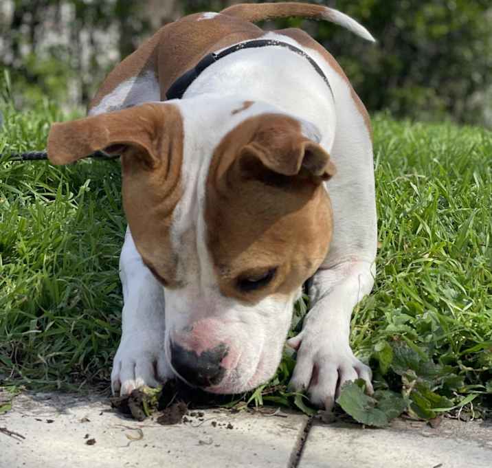 Photo of Uncle Rico KF