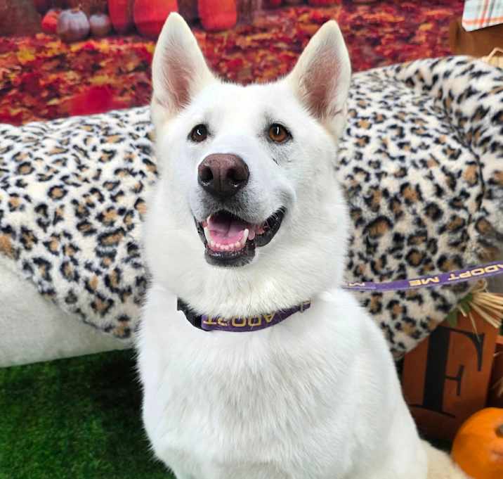 Photo of Arabella JuM