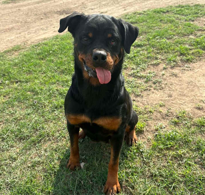 Photo of Penelope JuM