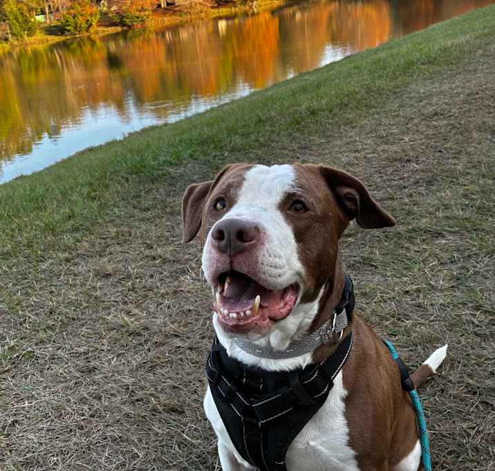 Photo of Reilly 28209