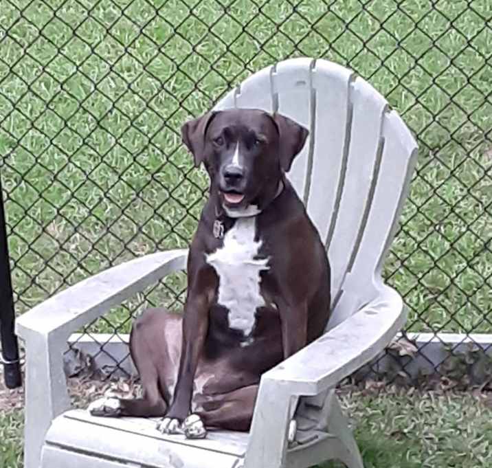 Photo of Linda Angyal