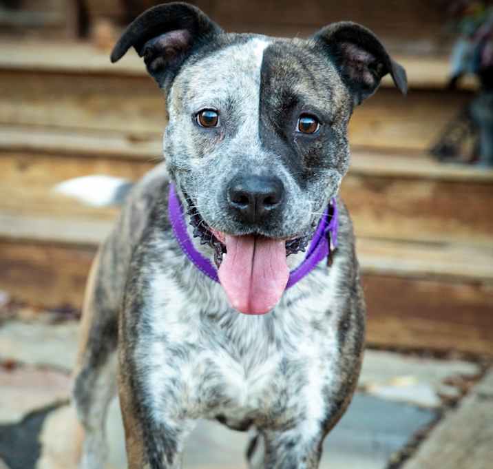 Photo of Charmin Ultra Soft