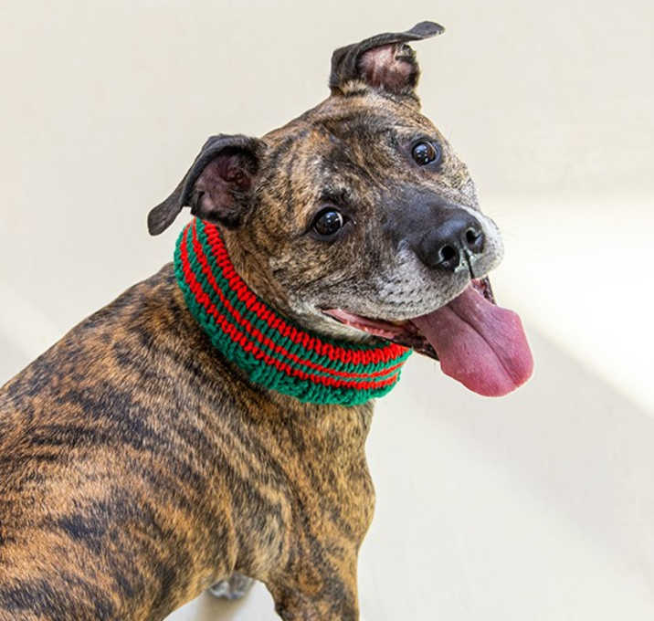 Photo of Union Pacific