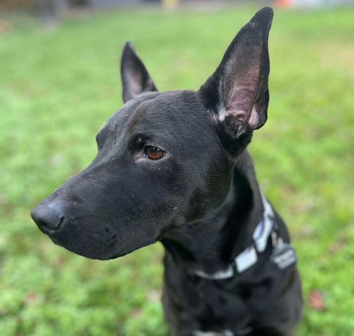 Photo of Sweet Melissa 