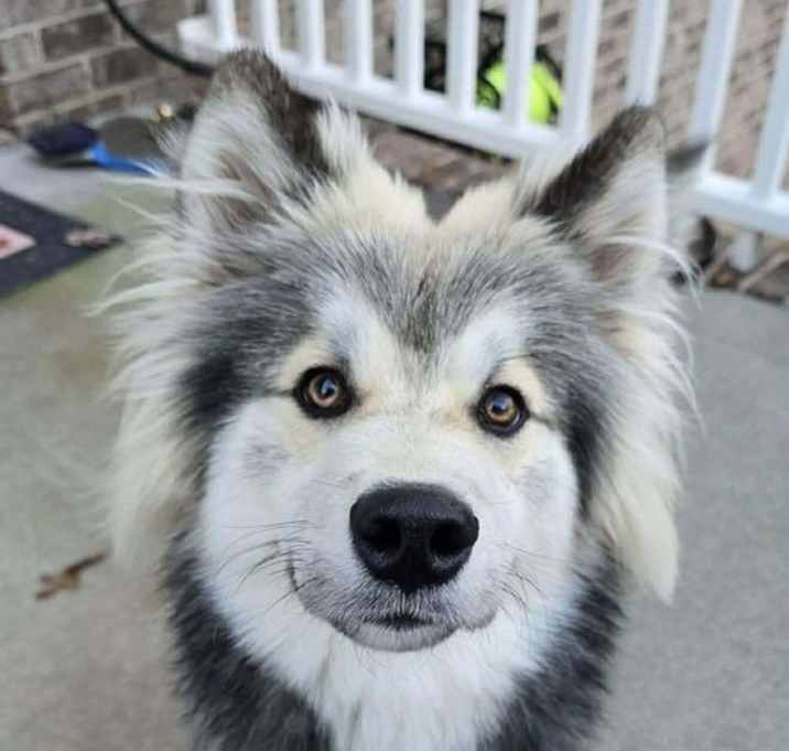 Photo of Bishop: Not at shelter (Chastity) av 12/15