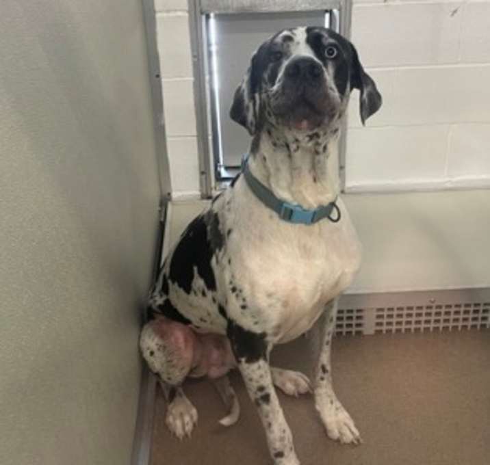 Photo of Professor Hinkle