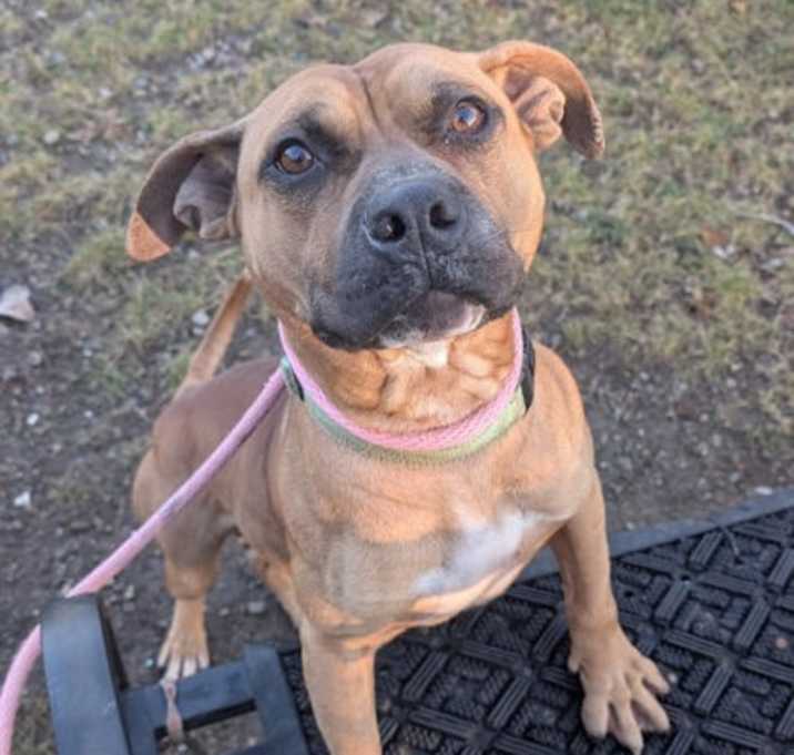 Photo of Cletus V 20