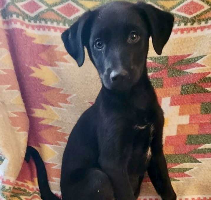 Photo of Tammy (NY-Shari)