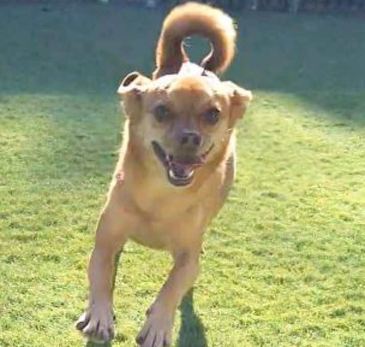 Photo of 161418 Ember