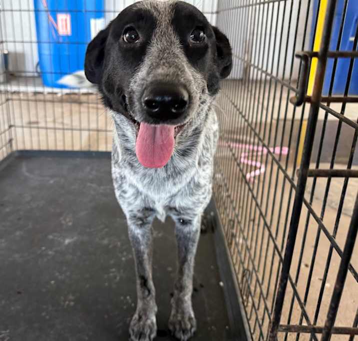 Photo of Pepper Pots 