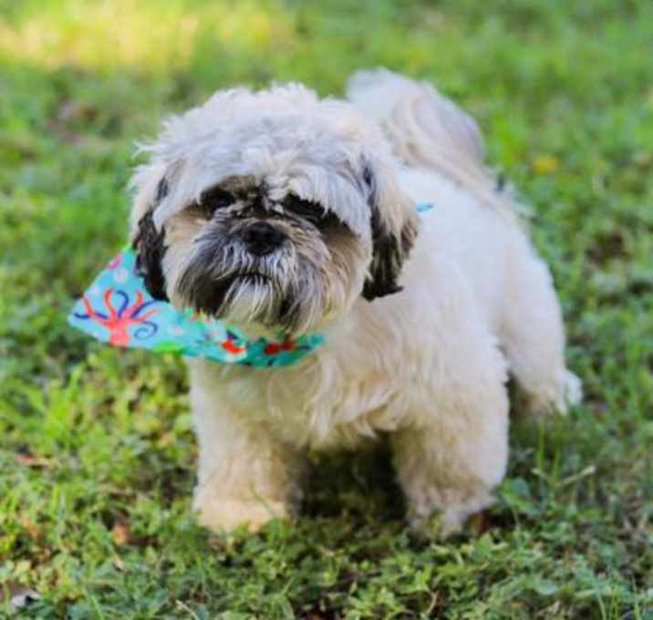 Photo of Sebastian Louise