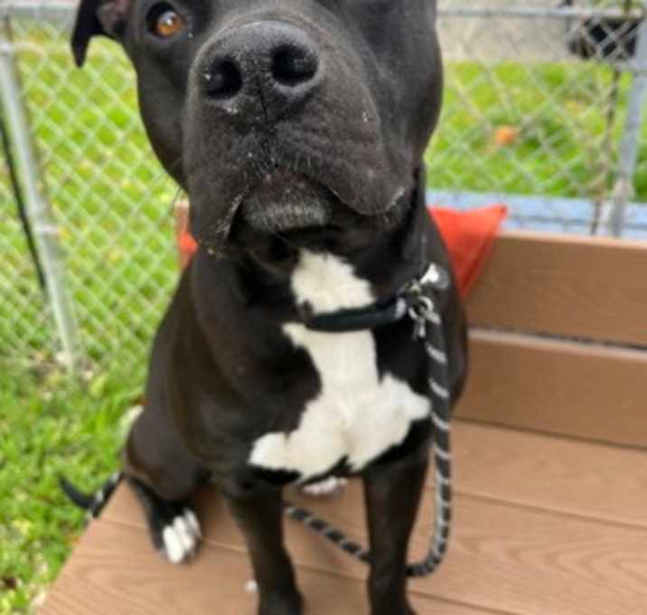 Photo of Rylee Parker