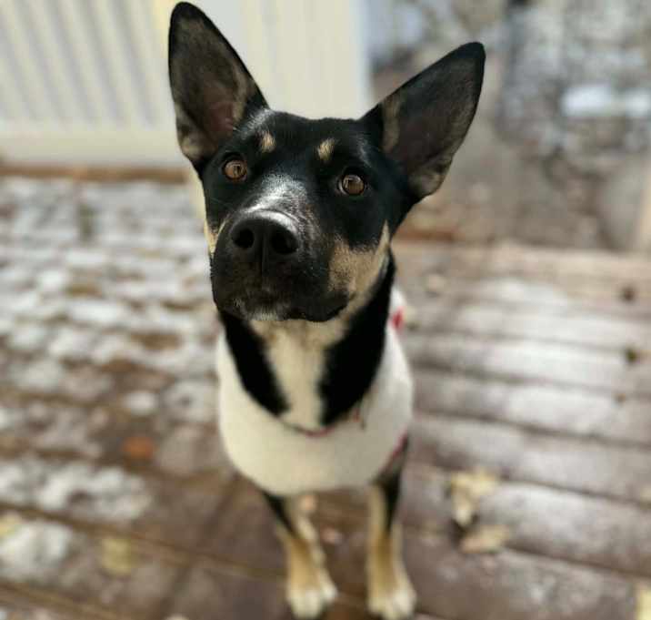 Photo of (ec) Selah (fka Sable)