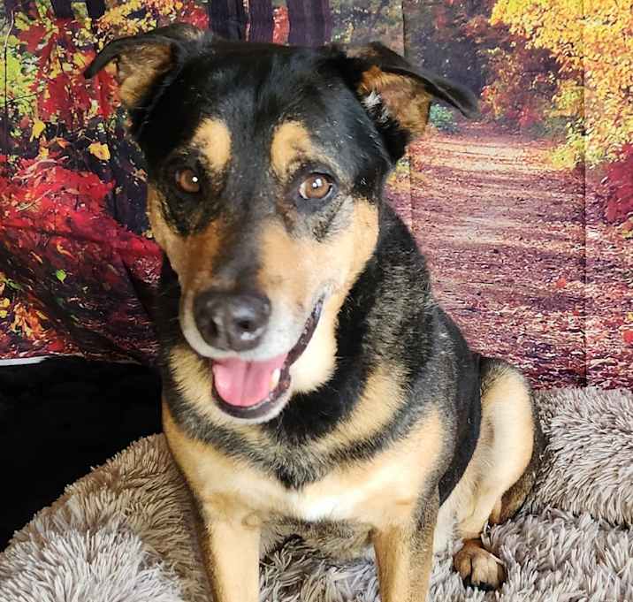 Photo of Alfalfa JuM