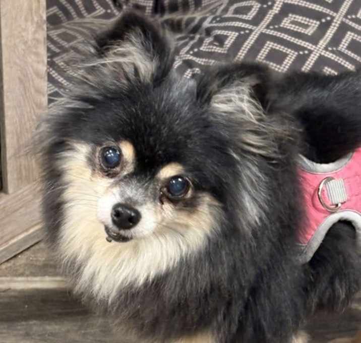 Photo of Rocky-Bonded with Tuukka