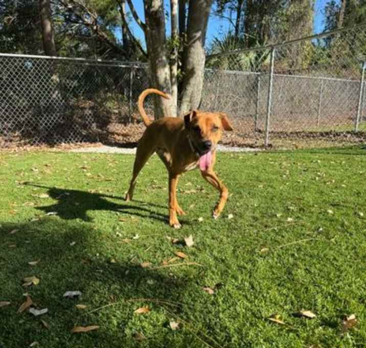 Photo of Junebug - 2