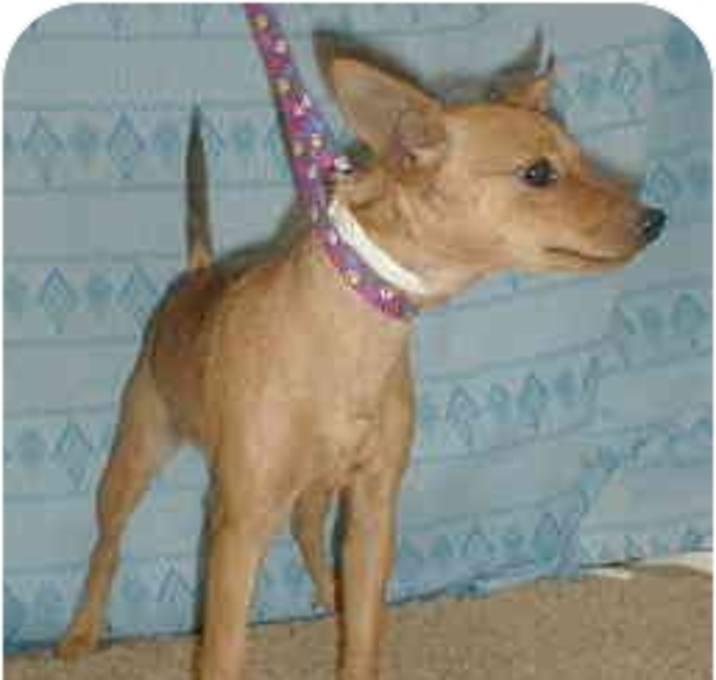 Photo of Spice
