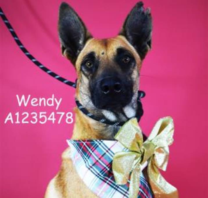 Photo of *WENDY