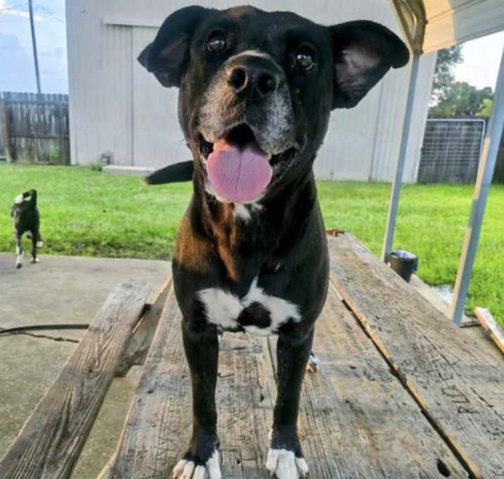 Photo of India- sweet soulful girl