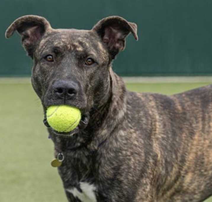 Photo of BUTTERFINGER