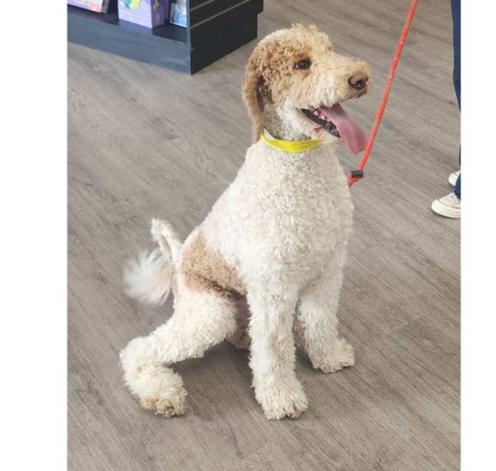 Photo of Jesse James