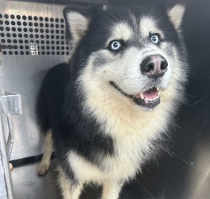 Photo of 12/9 ap sac