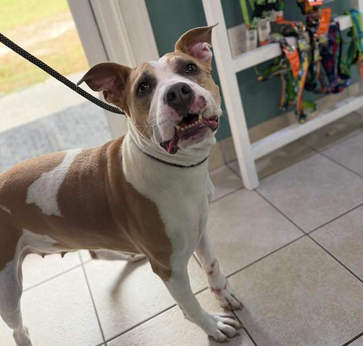 Photo of Wiggletta Tina