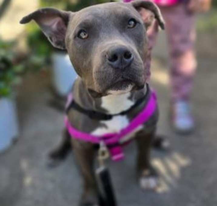 Photo of MOOSEY GOOSEY