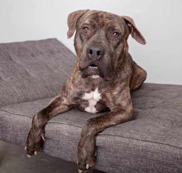 Photo of Buzz Lightyear