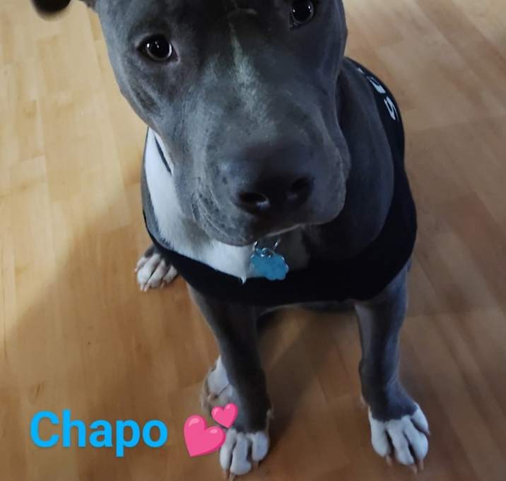 Photo of Chapo