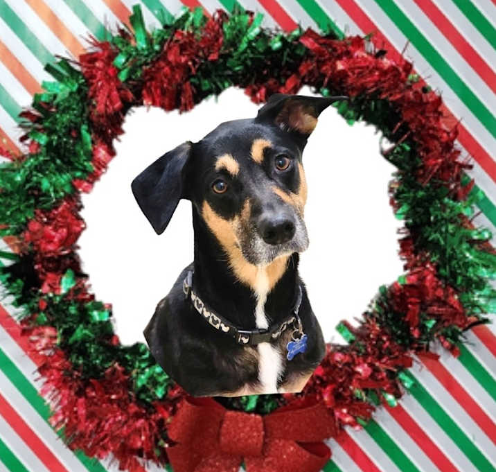 Photo of Ella (C000-643)- Chino Hills Location