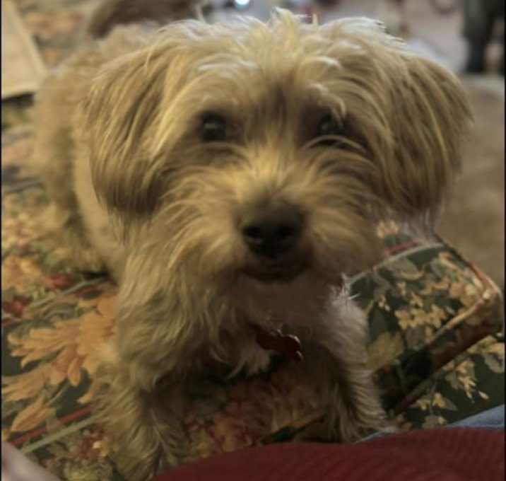 Photo of Steffy Plunkett