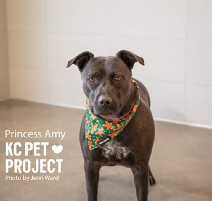 Photo of Princess Amy