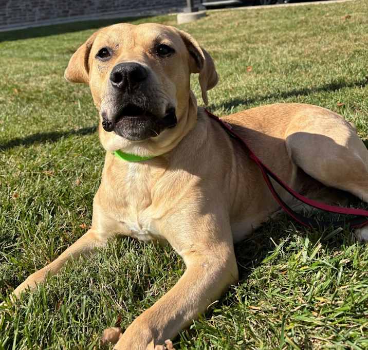 Photo of Peanut Butter