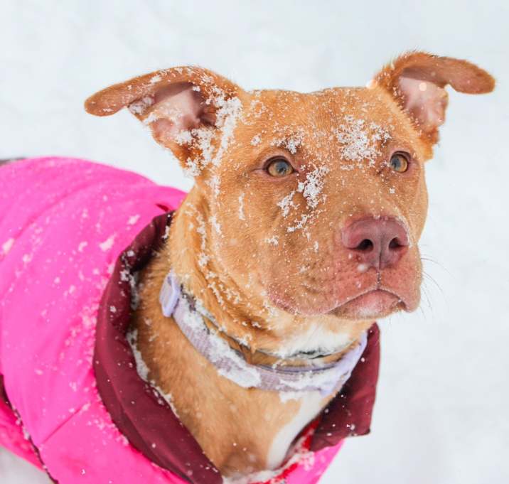 Photo of Bridgit 175